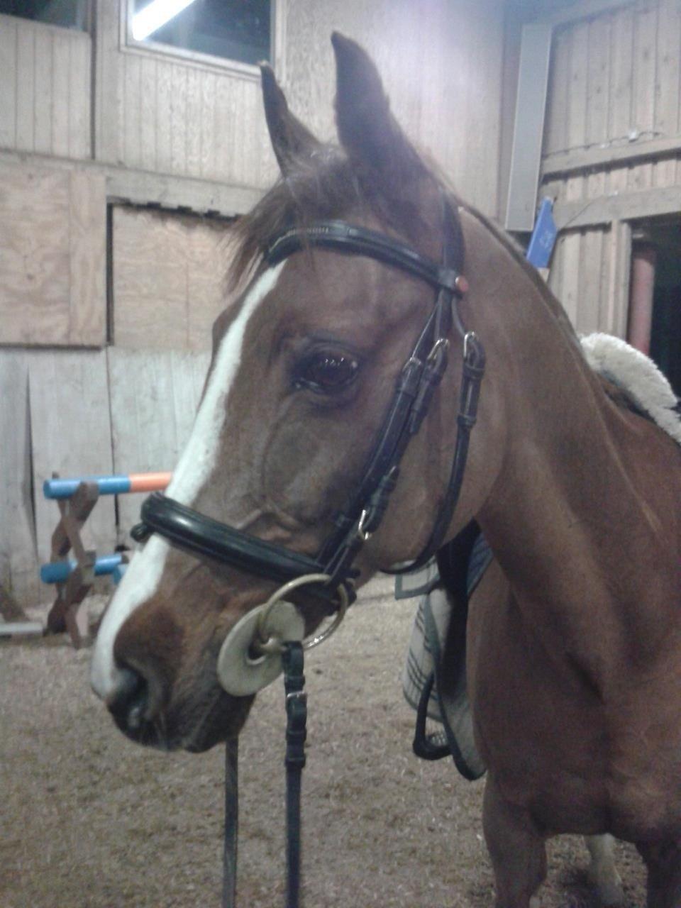 DSP | Night-Girl [ Red ] Solgt. billede 9