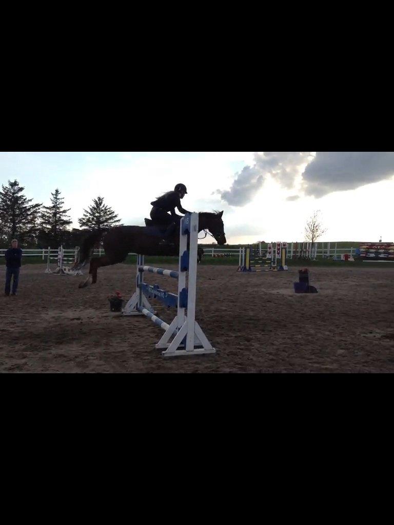 DSP | Night-Girl [ Red ] Solgt. billede 11