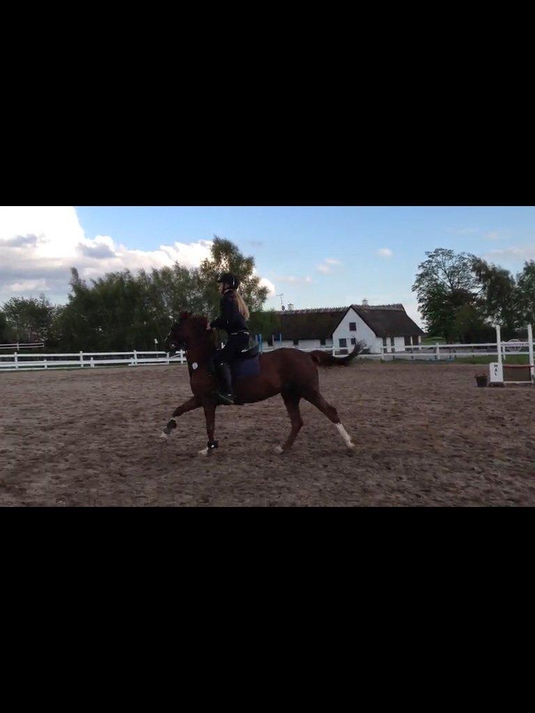 DSP | Night-Girl [ Red ] Solgt. billede 12