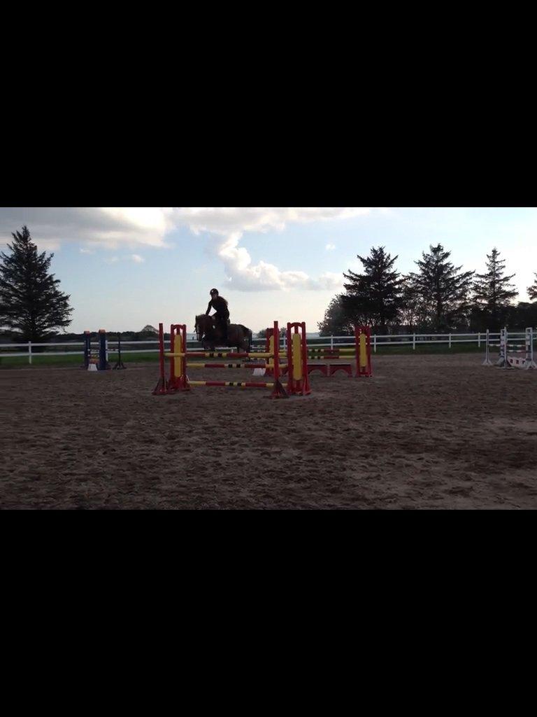 DSP | Night-Girl [ Red ] Solgt. billede 13