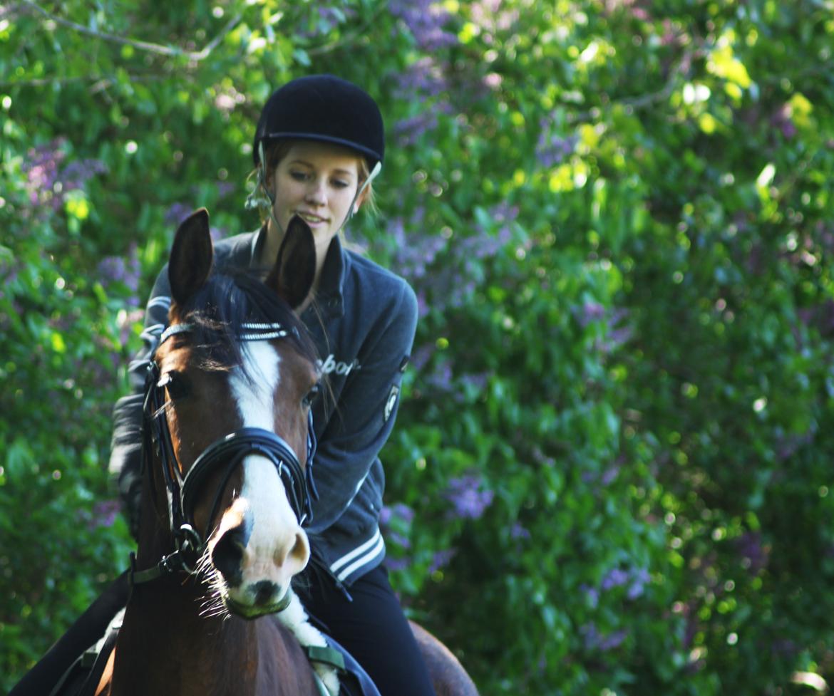 Anden særlig race Pedro El Valentino [Pede] - Pedro til sit første dyreskue! Han klarede det så flot! foto: Min mor billede 8