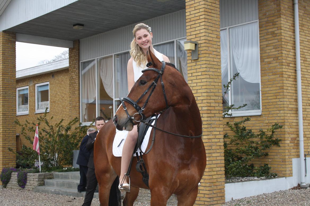 Oldenborg Narnio Roi - Den bedste gave jeg kunne ønske mig, Narnio kom til min konfirmation <3 billede 30