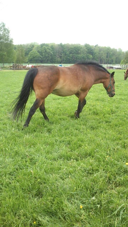 Anden særlig race Fabienne - Fabienne siger tak for nu :). billede 18
