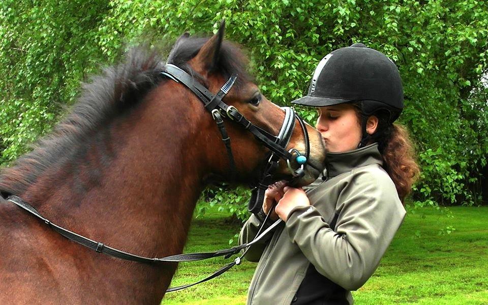 Anden særlig race Nougat <3 - Velkommen - Jeg kommer til at savne dig! Min elskede Nougat <3 billede 1