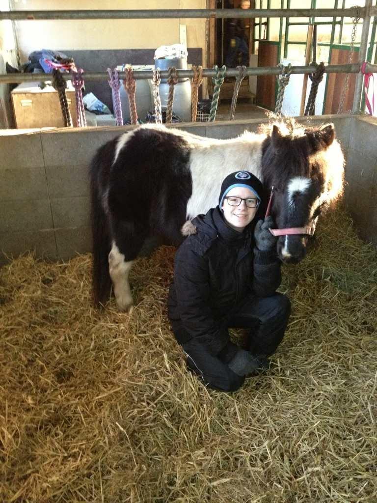 Shetlænder Bella Donna - Anden gang sammen med hende :-)  billede 11