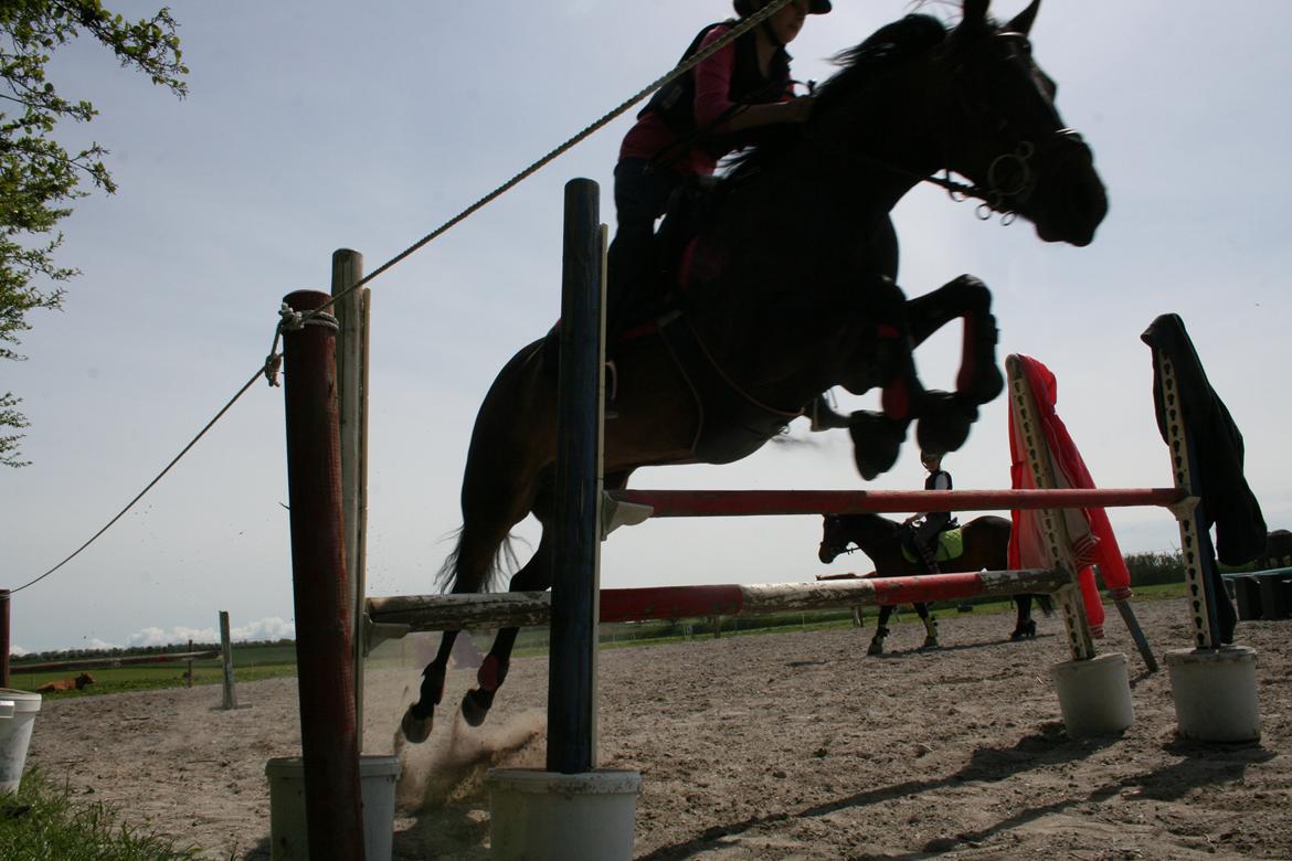 DSP coco chanel billede 5