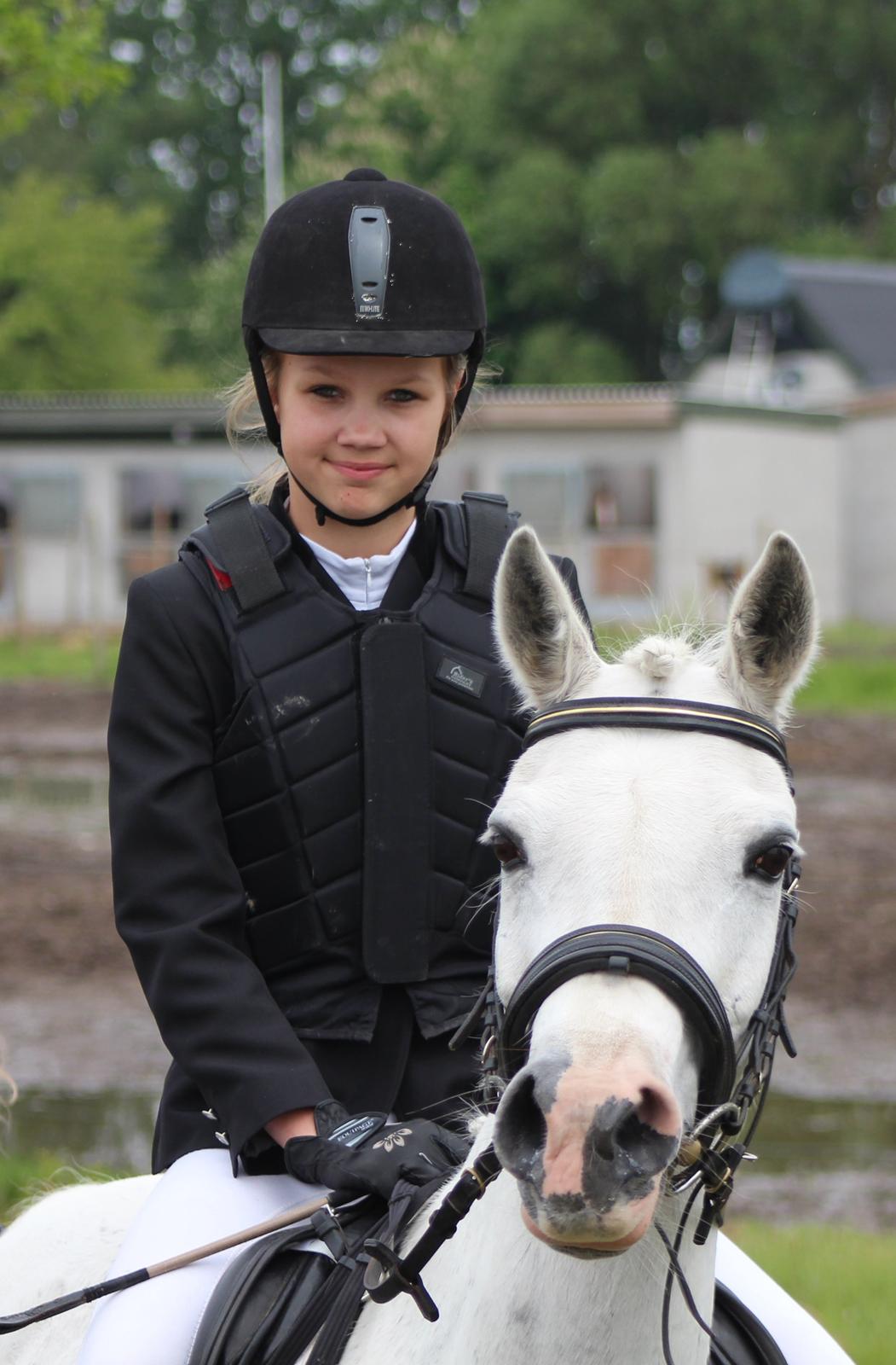 Anden særlig race Shivas Regal billede 7