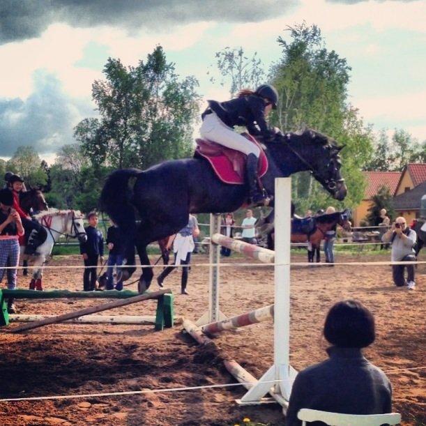 New Forest Løgtholt´s Bastian <3  - 110 cm til sponsor spring stævne hos Jettes rideskole <3 billede 4