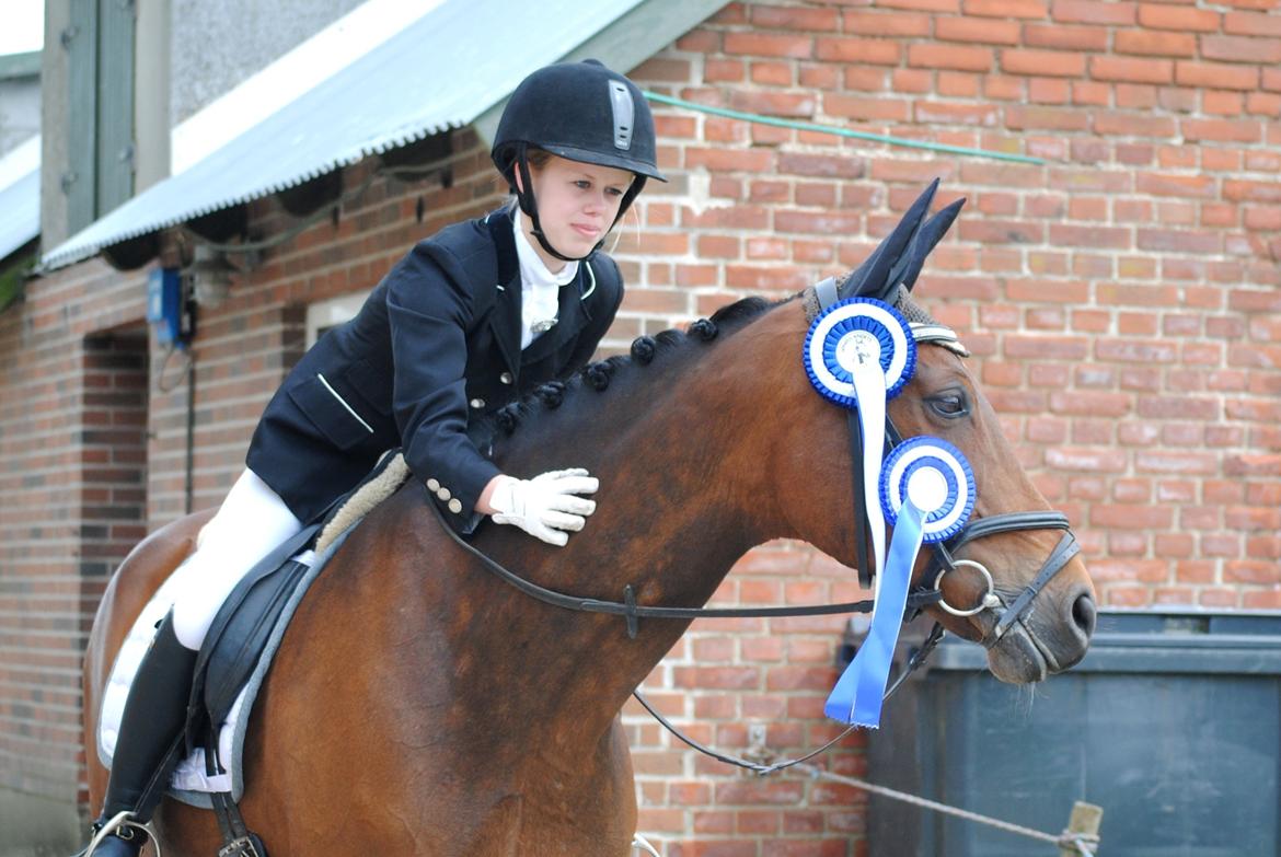 Dansk Varmblod Monique - Monique og jeg med vores to rosetter fra LB3 på LIND maj 2013 :-) [Foto: mor med mit kamera] billede 13