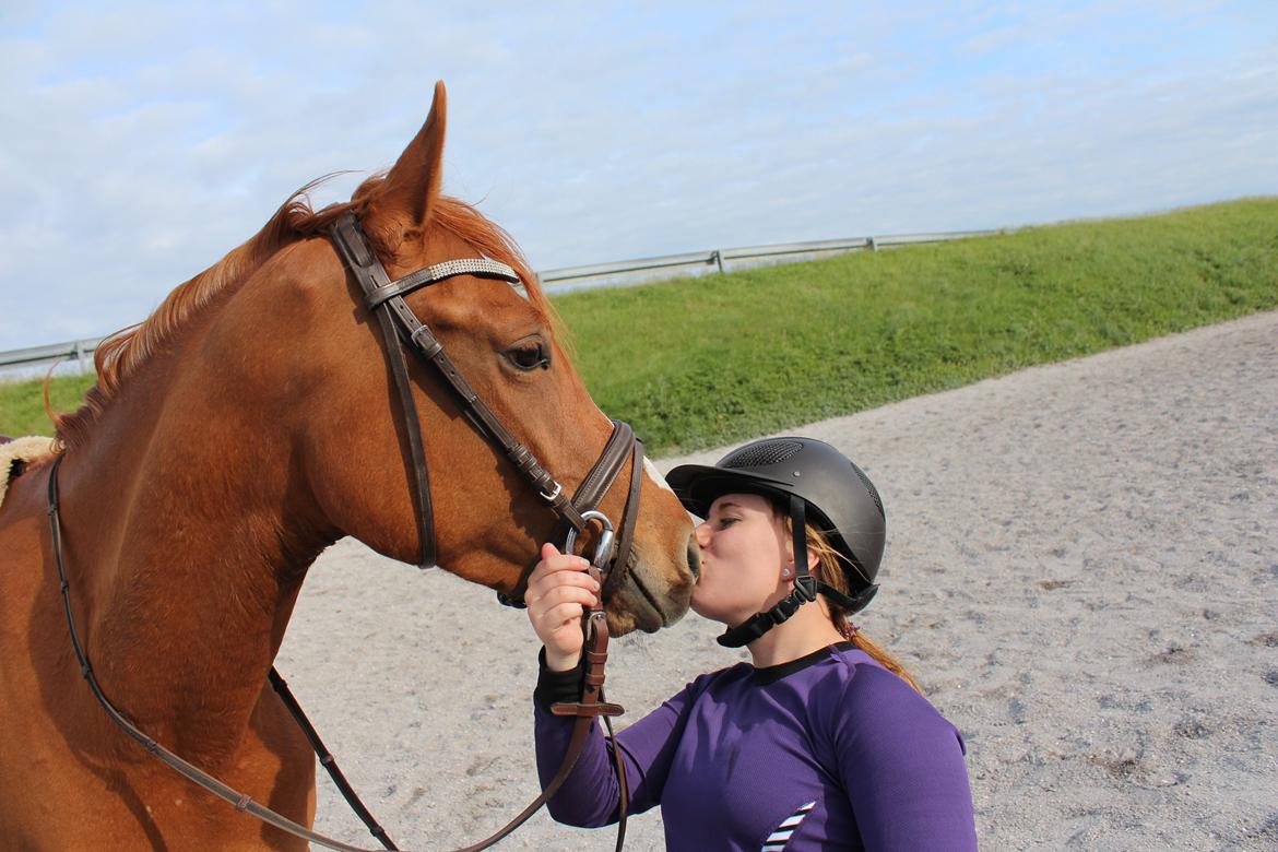 DSP Nørlunds Finette billede 14