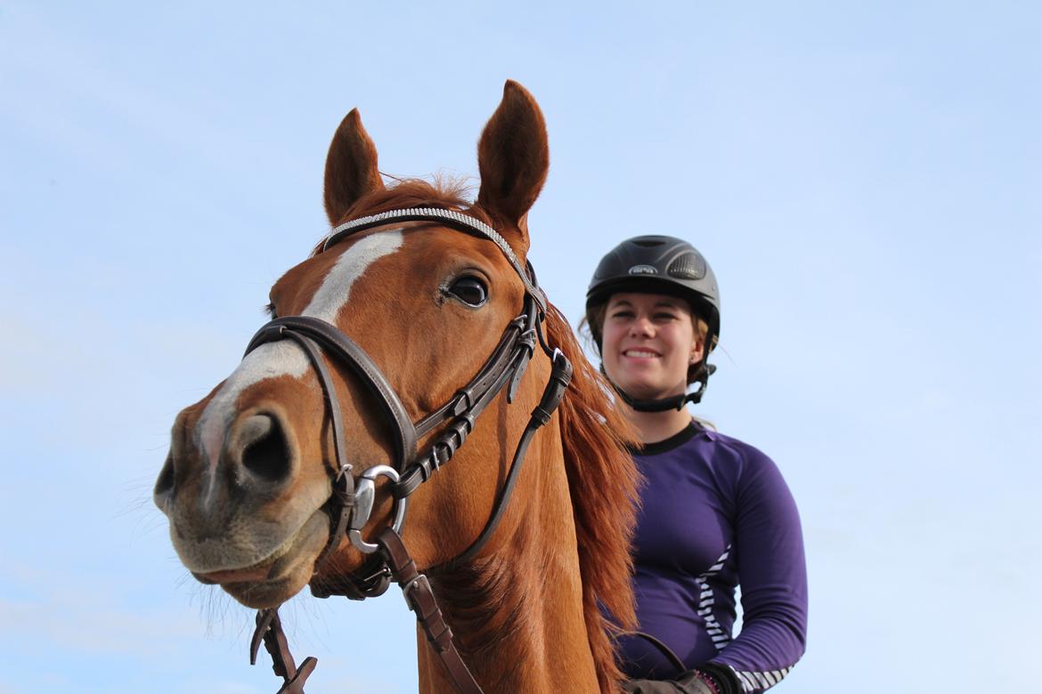 DSP Nørlunds Finette billede 15