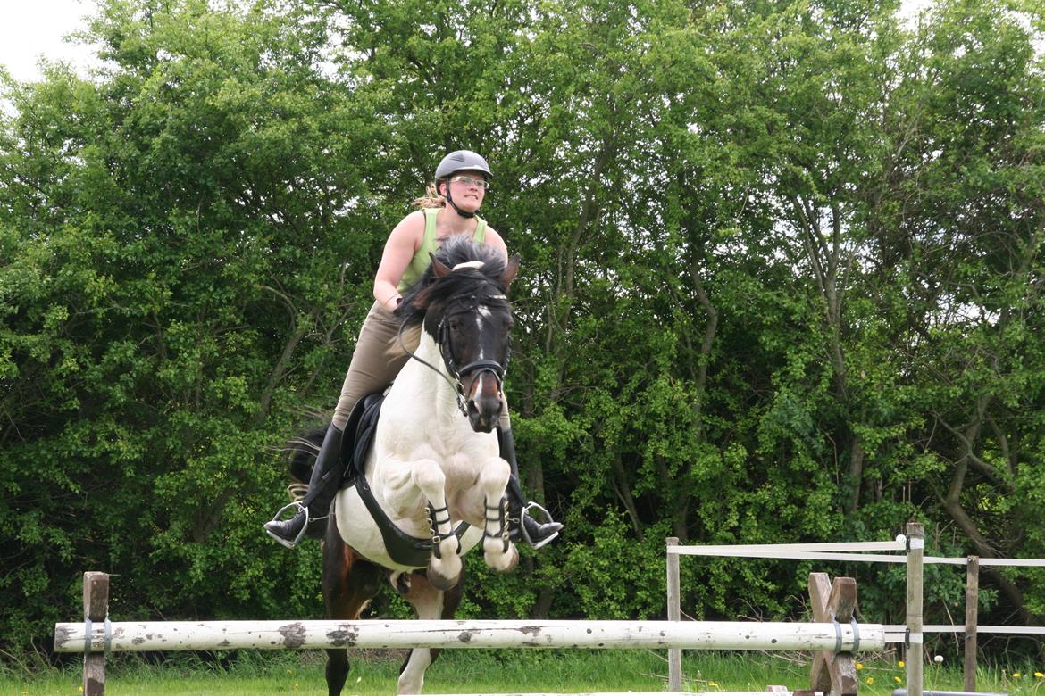 Pinto Rosenlyst's Ganis R:I:P - Ganis og jeg over kavaletti på 1 meter oxer den 25/5-2013 billede 19