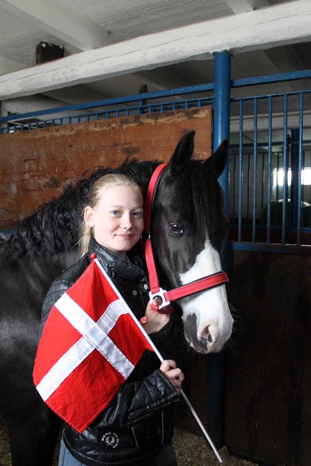 DSP Principal Touch - 5.maj 2013- Prince fylder 9 år billede 20