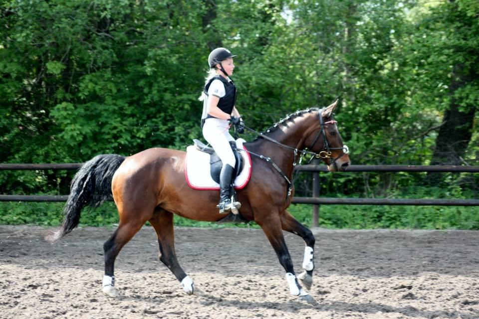 Dansk Varmblod Lillelunds Manja - 25 maj to første pladser 
Foto af: Cille Louise Edelvang  billede 13