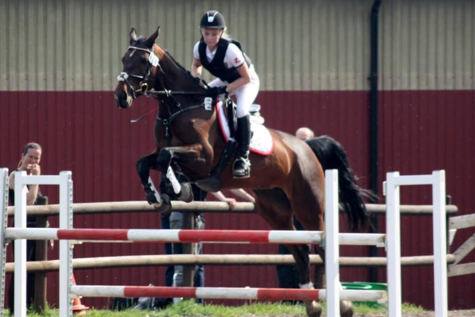 Dansk Varmblod Lillelunds Manja - D-stævne LC 25 maj 2013
Foto af: Cille Louise Edelvang  billede 14