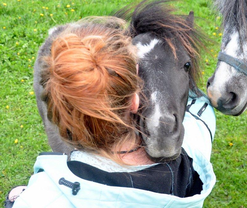 Anden særlig race » Hegnsholts Ziba <3 « R.I.P <3 - 25.05.2013 - 1 år og 21 dage gammel. Ziba, du er og bliver en éner, ingen er som du <3 Tak for et fantastisk år, glæder mig til mange flere :-* billede 18