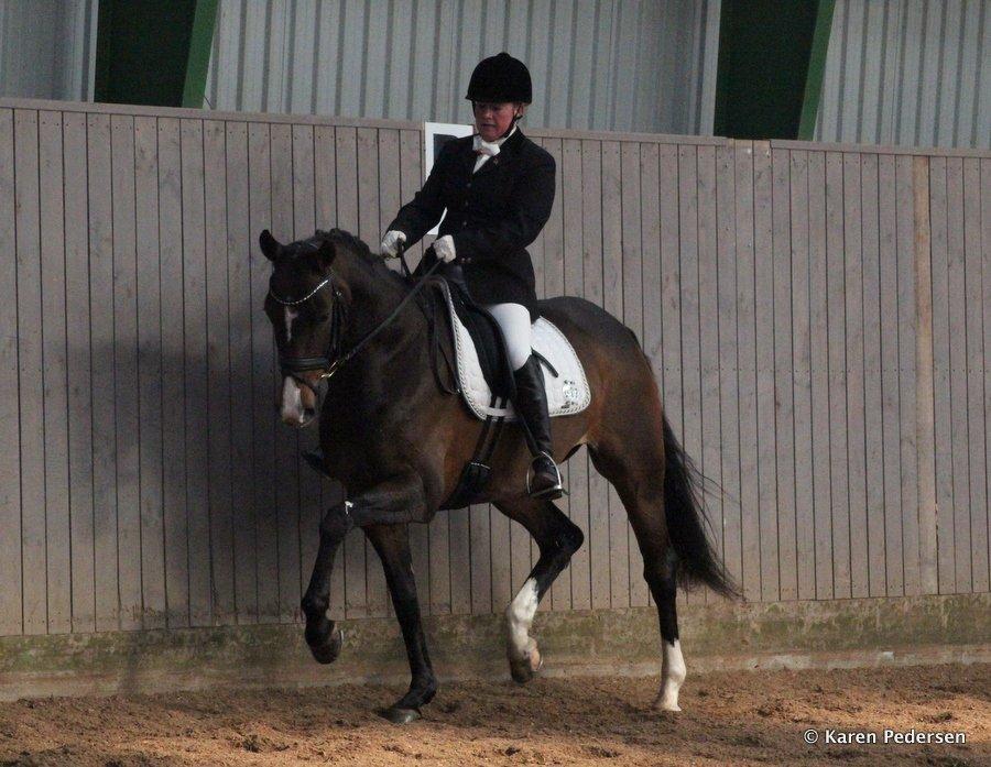 Dansk Varmblod Skovly's Alanta  billede 19