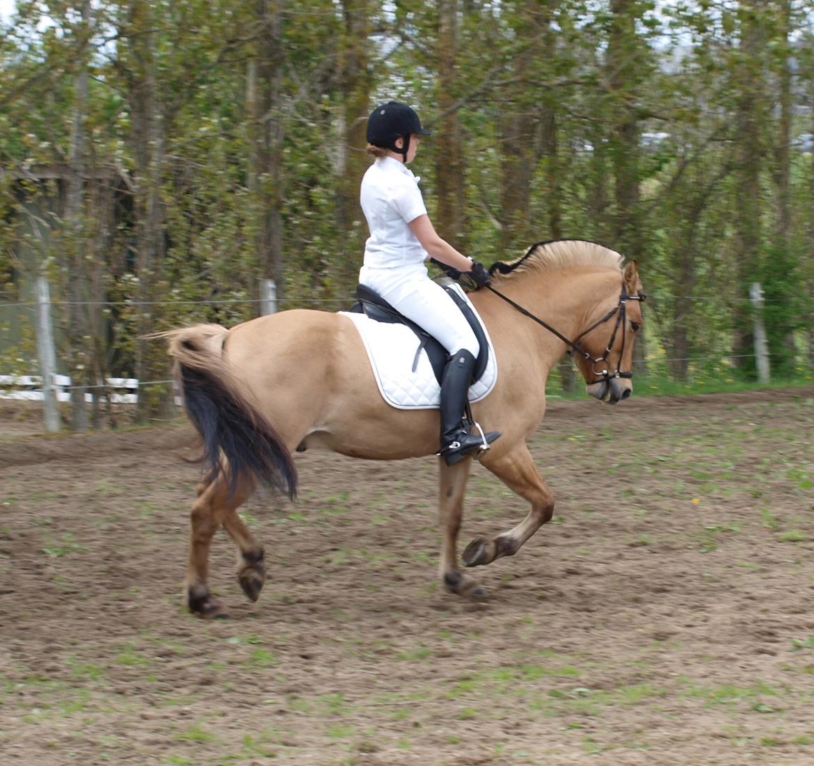 Anden særlig race Lukas - Opvarmning til LC1 og 3 maj 2013 billede 20