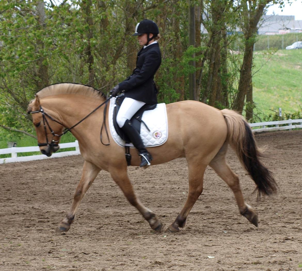 Anden særlig race Lukas - Lc3 Maj 2013 billede 8