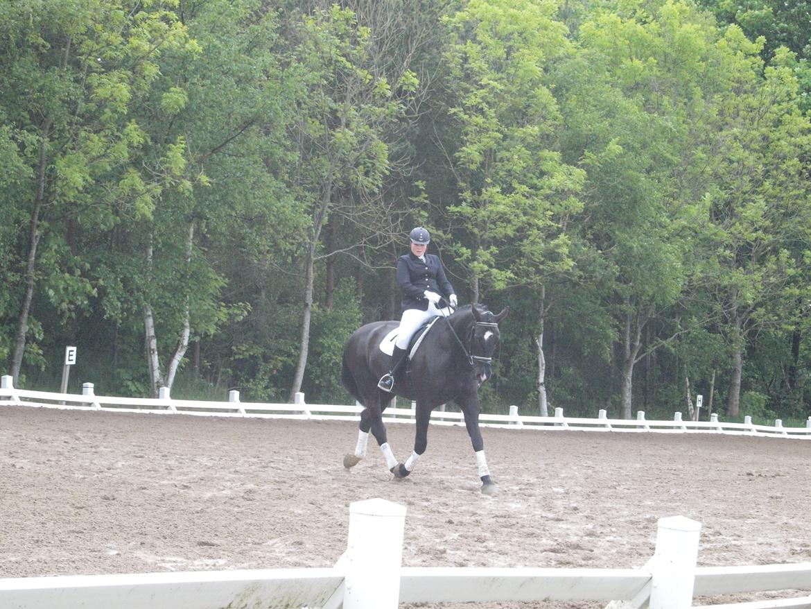 Oldenborg Black Diamond (solgt) - Til stævne i maj i TNKR her er vi igang med en LC1 billede 11