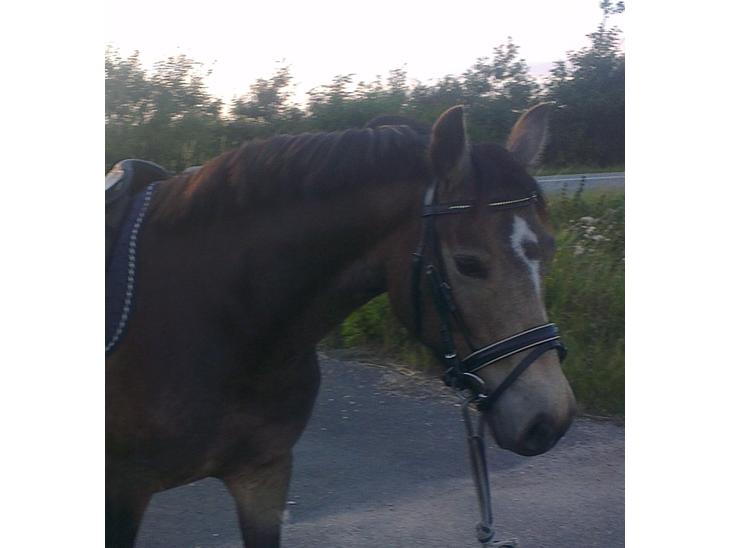 {{currentPhoto.altText}} billede {{currentPhoto.number}}