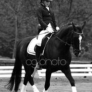 Anden særlig race Terpegårds Belladonna