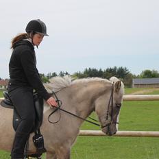 Islænder Fína fra Stald Prahl