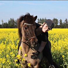 Islænder Hraunbúa fra Skarholt