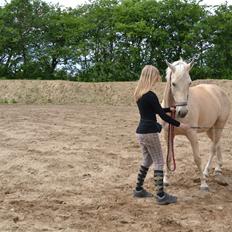 Palomino Bailey<3