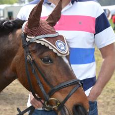 Anden særlig race Hopla