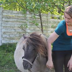 Shetlænder Shakira Liebas