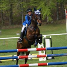 Anden særlig race Anna-bel Lambæk