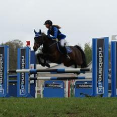 Anden særlig race Anna-bel Lambæk
