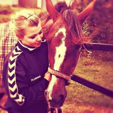 Standardbred Jaqueline Egely "Luna"