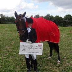 Dansk Varmblod Olivia RDH | Guldklumpen!<3|