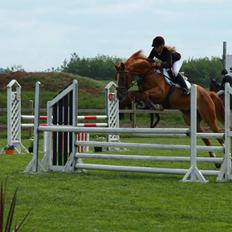 Branderburger Duccio