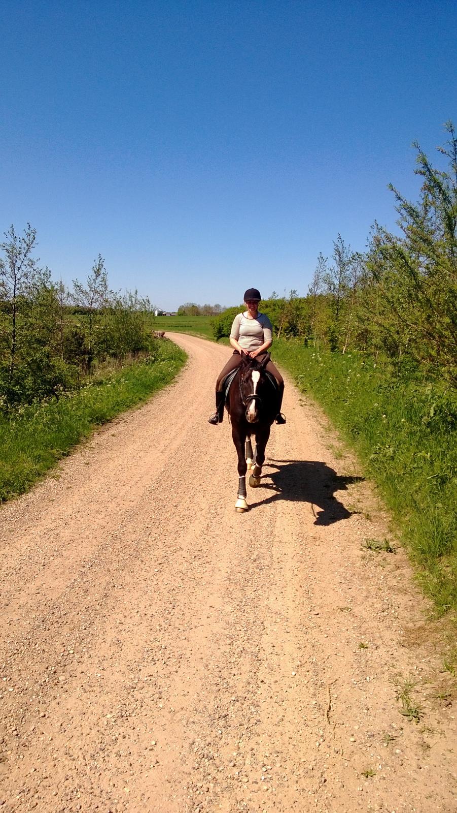 Anden særlig race No Black Boy billede 6