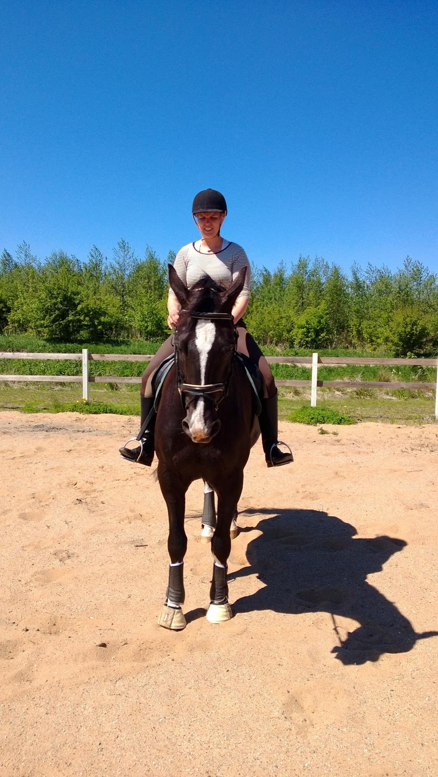 Anden særlig race No Black Boy billede 8