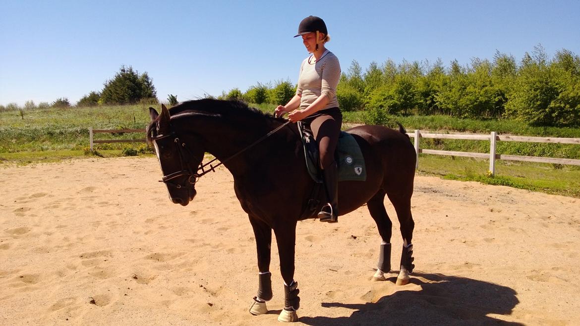 Anden særlig race No Black Boy billede 10