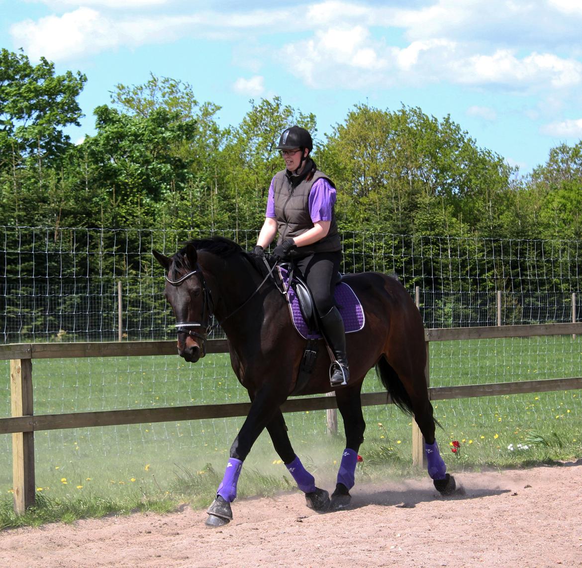 Oldenborg Skjaldhøj Tobias (Min Soulmate) *Højt elsket* - Efter 6 måneder med nedture, er jeg endelig glad for at ride igen :) billede 35