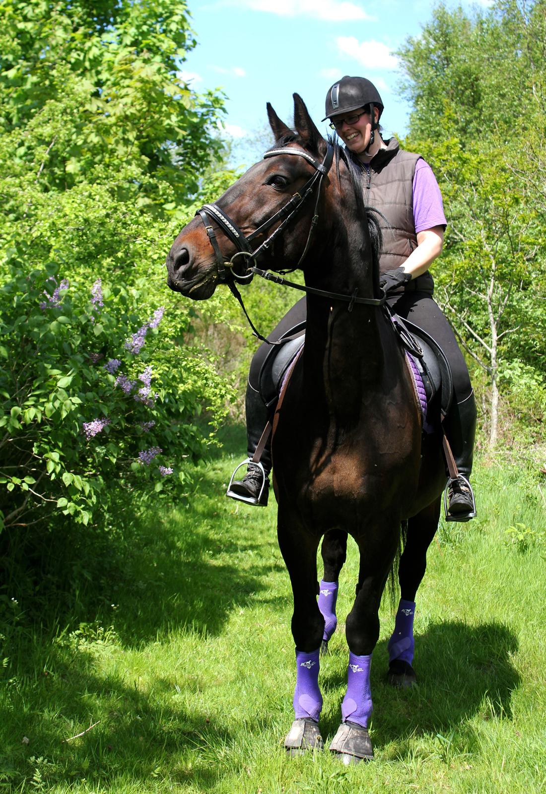 Oldenborg Skjaldhøj Tobias (Min Soulmate) *Højt elsket* - Livet er herligt med en skøn hest i smukke omgivelser :) billede 34