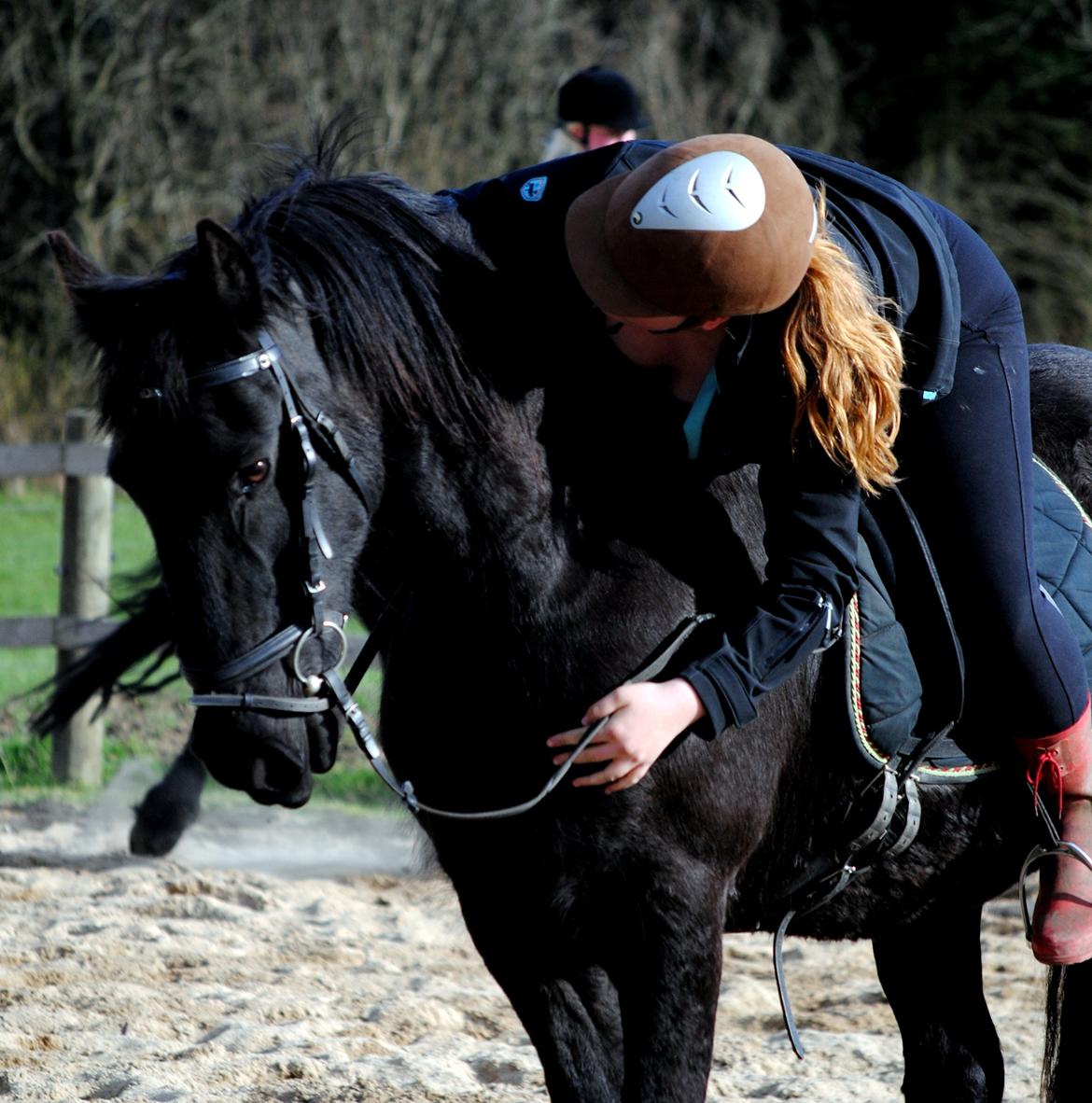 Frieser Altruida K. billede 18