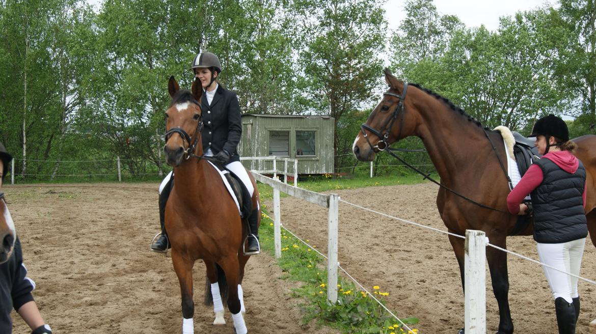 Traver Tinka Meldgård - Første stævne, for os begge<3 billede 8