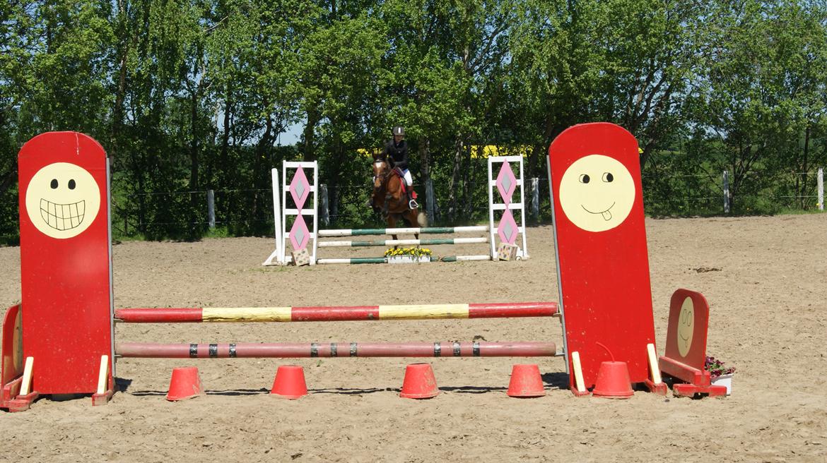 Traver Tinka Meldgård - Første springstævne Lx<3 billede 14