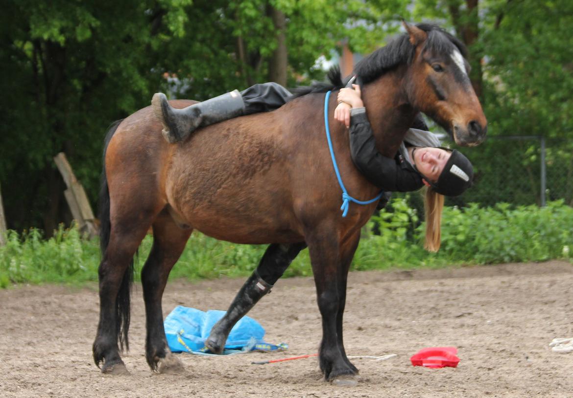 Anden særlig race Tjalfe - Ihh, han er da også så dejlig! Vores 6 årsdag [Foto: Trine] billede 14