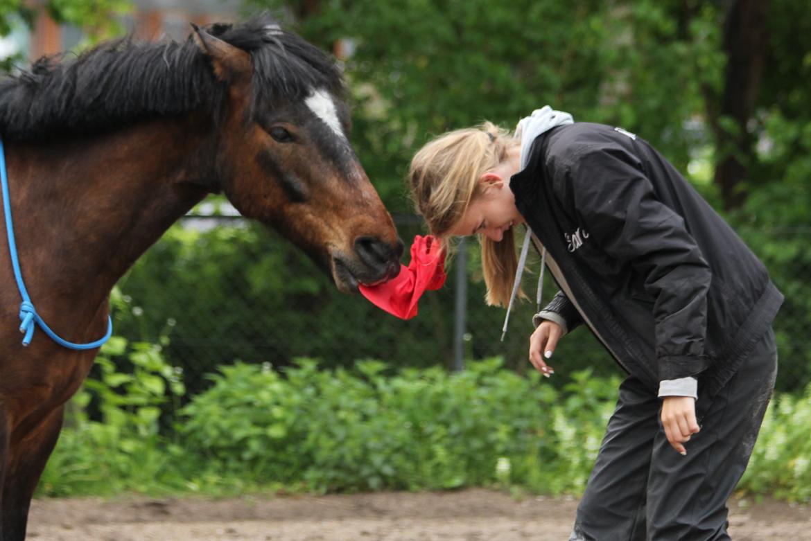 Anden særlig race Tjalfe - At tage kasket af [Foto: Trine] billede 16