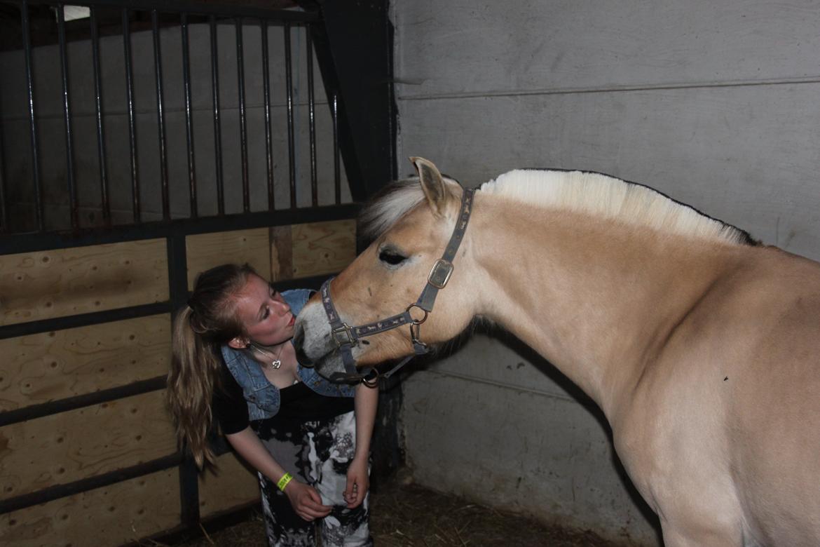 Fjordhest Vesteragers Bella - Lige da jeg havde fået hende hjem! billede 15