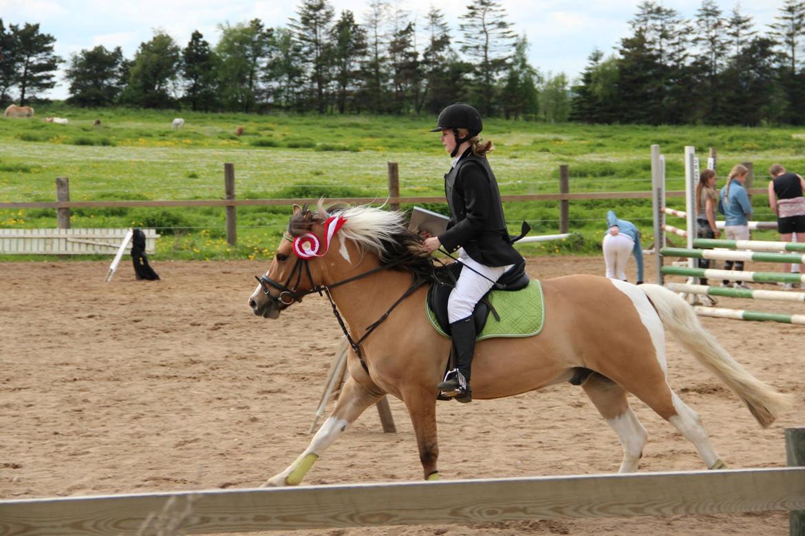 Anden særlig race Charming *Tidl. Part* - 1. plads!!! Charming synes at vi skulle jorde i æresrunden! :) billede 2