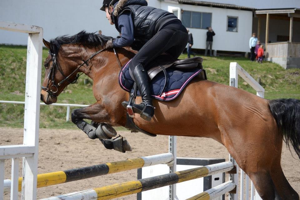 DSP Cassidy - Tak fordi i kiggede med <3
 billede 18