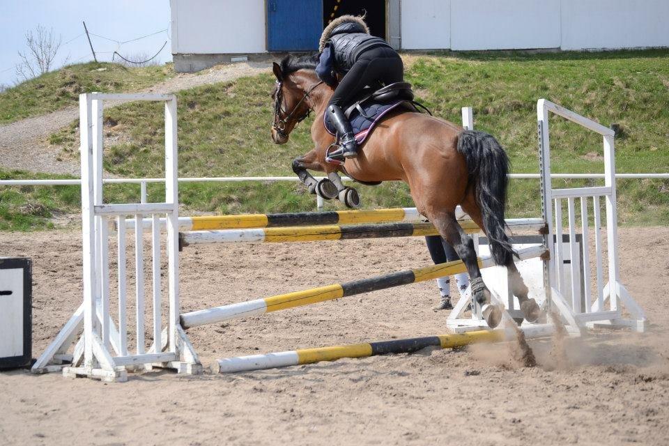 DSP Cassidy billede 15